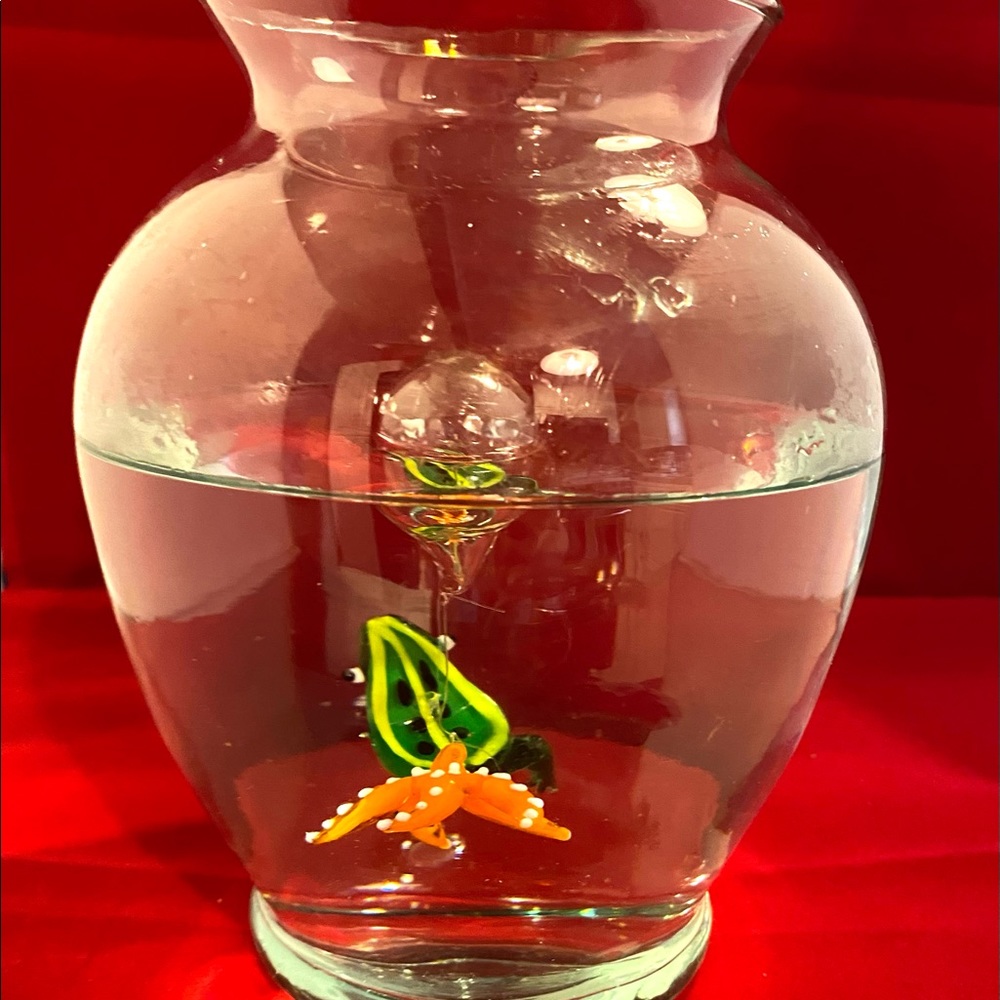 Floating Aquatic Animals - Picture 5 of 9